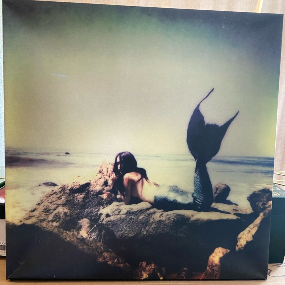 Siren print on canvas
